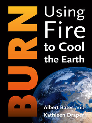 cover image of Burn
